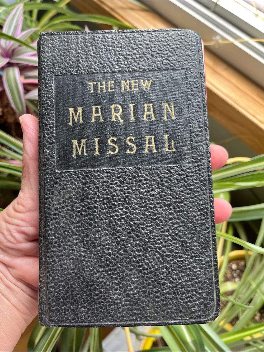 The New Marian Missal Daily Mass Vtg 1950s Latin Sylester Juergens Regina Press